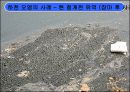[지역하천] 지역하천 및 지방하천의 개발과 문제점 -양재천을 중심으로- 12페이지