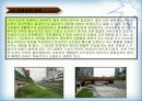 [지역하천] 지역하천 및 지방하천의 개발과 문제점 -양재천을 중심으로- 14페이지
