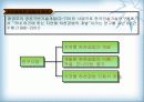 [지역하천] 지역하천 및 지방하천의 개발과 문제점 -양재천을 중심으로- 20페이지