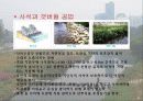 [지역하천] 지역하천 및 지방하천의 개발과 문제점 -양재천을 중심으로- 24페이지