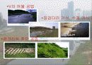 [지역하천] 지역하천 및 지방하천의 개발과 문제점 -양재천을 중심으로- 26페이지