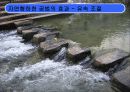 [지역하천] 지역하천 및 지방하천의 개발과 문제점 -양재천을 중심으로- 28페이지