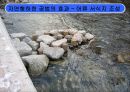 [지역하천] 지역하천 및 지방하천의 개발과 문제점 -양재천을 중심으로- 29페이지