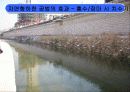 [지역하천] 지역하천 및 지방하천의 개발과 문제점 -양재천을 중심으로- 30페이지