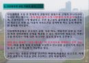 [지역하천] 지역하천 및 지방하천의 개발과 문제점 -양재천을 중심으로- 32페이지