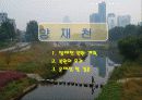 [지역하천] 지역하천 및 지방하천의 개발과 문제점 -양재천을 중심으로- 38페이지