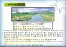 [지역하천] 지역하천 및 지방하천의 개발과 문제점 -양재천을 중심으로- 39페이지