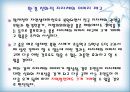 [지역하천] 지역하천 및 지방하천의 개발과 문제점 -양재천을 중심으로- 44페이지