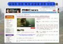 [지역하천] 지역하천 및 지방하천의 개발과 문제점 -양재천을 중심으로- 46페이지