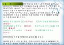 [지역하천] 지역하천 및 지방하천의 개발과 문제점 -양재천을 중심으로- 48페이지