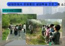 [지역하천] 지역하천 및 지방하천의 개발과 문제점 -양재천을 중심으로- 51페이지