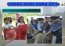 [지역하천] 지역하천 및 지방하천의 개발과 문제점 -양재천을 중심으로- 52페이지