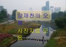 [지역하천] 지역하천 및 지방하천의 개발과 문제점 -양재천을 중심으로- 54페이지