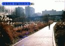 [지역하천] 지역하천 및 지방하천의 개발과 문제점 -양재천을 중심으로- 61페이지