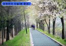 [지역하천] 지역하천 및 지방하천의 개발과 문제점 -양재천을 중심으로- 63페이지