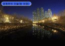 [지역하천] 지역하천 및 지방하천의 개발과 문제점 -양재천을 중심으로- 65페이지