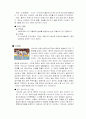 [일본문화]일본의 무술 3페이지