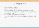 걸음마기 영아의 건강 8페이지