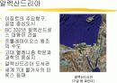 알렉산드리아 도서관 4페이지