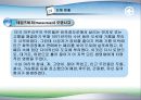[환경]다이옥신&다이옥신의정의&다이옥신의종류&다이옥신에 관한 모든것 21페이지