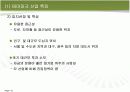 국내 테마파크 산업분석 12페이지