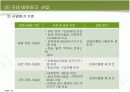 국내 테마파크 산업분석 18페이지