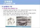 보육학 개론 발표 PPT 47페이지