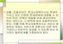 학교사회복지의 원칙  4페이지