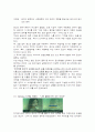 드라마 광고 유형을 중심으로 광고사례 분석 1페이지