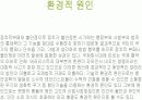 테러에 대하여 (신종 범죄론) 7페이지