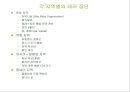 테러에 대하여 (신종 범죄론) 22페이지