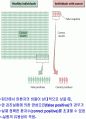 암의 검진과 치료.PPT자료 8페이지