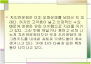 치킨산업의 전략적 특징  2페이지
