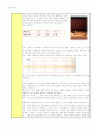 초등음악교육 - 사물놀이 수업 지도안 세안 (4학년 1학기 삼채 장단 치기) 7페이지