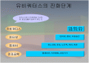 유비쿼터스네트워크 2페이지