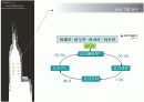 발렌베리와 삼성의 차이점  10페이지