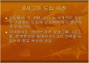 6시그마 배경 도입 및 성공사례 9페이지