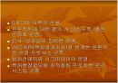 6시그마 배경 도입 및 성공사례 13페이지