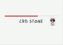 CBD STONE 1페이지