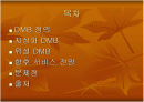 위성 DMB와 지상파 DMB 비교 및 향후 전망 2페이지