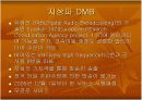 위성 DMB와 지상파 DMB 비교 및 향후 전망 4페이지