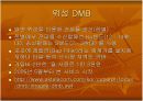 위성 DMB와 지상파 DMB 비교 및 향후 전망 6페이지
