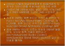 위성 DMB와 지상파 DMB 비교 및 향후 전망 7페이지