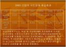 위성 DMB와 지상파 DMB 비교 및 향후 전망 11페이지