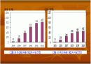 위성 DMB와 지상파 DMB 비교 및 향후 전망 13페이지