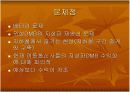 위성 DMB와 지상파 DMB 비교 및 향후 전망 14페이지