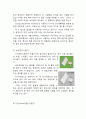 [재료실험] 경도시험 및 경도 측정기 4페이지