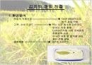 김치 산업의 자료를 발표용인 파워포인트로 작성해보았습니다. 6페이지