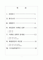 레인콤의마케팅전략 2페이지