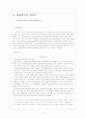 레인콤의마케팅전략 18페이지